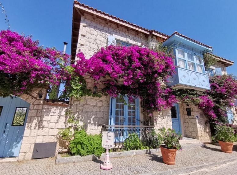 Asma Han Alacati Çeşme Exteriör bild